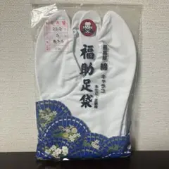 Item thumbnail for item c4c1a8ec-756f-4721-8e02-619a62712352