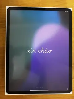 12.9インチiPad Pro(第5世代)WiFi 256GB ペンシル付き
