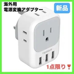 TESSAN 変換プラグ 海外旅行用 BFタイプ 変換器 電源変換アダプター