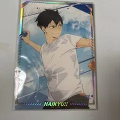 ハイキュー‼︎ 水遊び ポートレートコレクション 影山飛雄