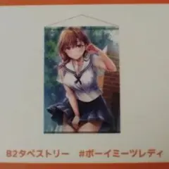制服カノジョ2.5 のぞみ初恋BOX特典 B2タペストリー「ボーイミーツレディ」