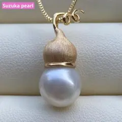 Item thumbnail for item 228d1f73-f8ab-42d5-919a-ee9f77b6be36