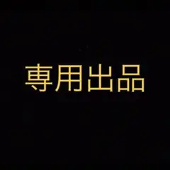 専用① ジプシー