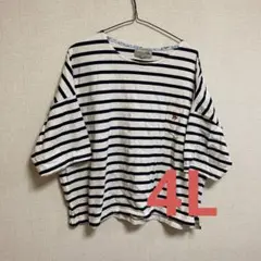 【しまむら】ボーダーＴ