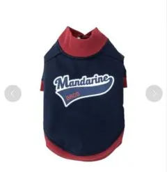 Item thumbnail for item c539ff69-5722-42f8-a138-44d29c01aa3f