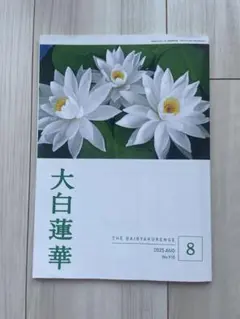 大白蓮華　8月号