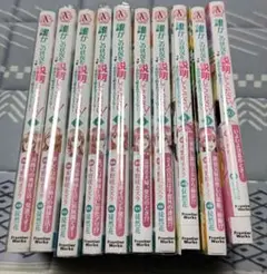 誰かこの状況を説明してください!　 1～10巻