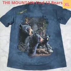 極美品✨THE MOUNTAIN 熊クマ Tシャツ　XL