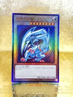 遊戯王OCG ホーリー・エルフ & 青眼の白龍 遊戯王 ホーリー・エルフ&青眼の白龍 トレーディングカード