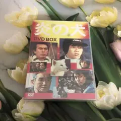 炎の犬 DVD-BOX〈5枚組〉