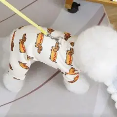 Item thumbnail for item f103a017-ded2-4cf7-a575-dc88c464e86f