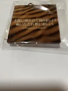 三浦大知ライブグッズ2025