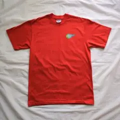 90s EAGLE USA 半袖 Tシャツ シングルステッチ USA製 オレンジ