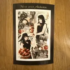 Item thumbnail for item 470d68b9-332f-4912-ae4a-a9b60017701b