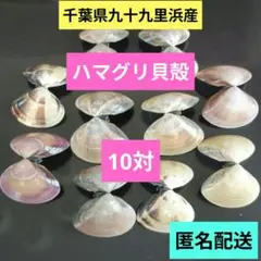 千葉県九十九里浜産　ハマグリ貝殻 10対　匿名配送