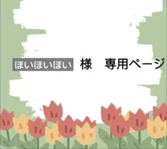 ほいほいほい様　専用ページ