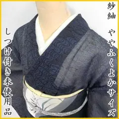 〇507mt8〇紗紬 夏物 透け感 ややふくよか 居敷当て付き〇しつけ付き未使用