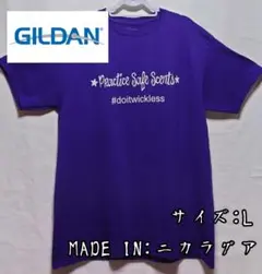 Tシャツ　ギルダン　doitwickless　サイズL　US古着　複数購入値引き