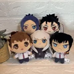 家庭教師ヒットマンREBORN　リボーン　ぷちっしゅ　ぬいぐるみ
