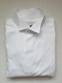 Item thumbnail for item 011956b3-3dea-43ef-bf67-2fb3659f02a7
