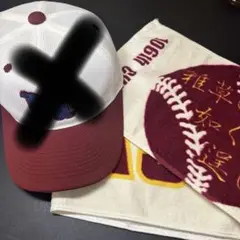 習志野高校 応援タオル 2016 2018 セット 習志野高校 応援タオル 2016 2018 セット - メルカリ