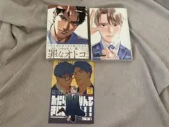 BL漫画まとめ売り可能
