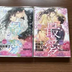最愛Ⅰ 君に降り積む雪になる　2冊セット