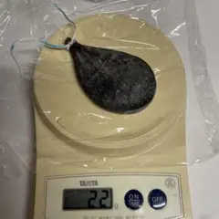 熊　胆のう　月の輪熊　48g 熊 胆のう 月の輪熊 48g 楽天市場】熊の胆の通販