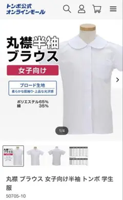 Item thumbnail for item 0b50e2a7-feff-46ce-9607-39eab9539c63