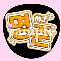 astro ウヌ　うちわ　MJ うちわ 3本セット チャウヌ ASTRO アストロ 写真入り うちわ 韓流