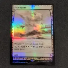 MTG 悪臭の荒野 EXP Foil 英語版