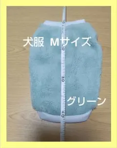 Item thumbnail for item e0476a53-4e22-407a-9c7c-c9f4cdd7e0cd