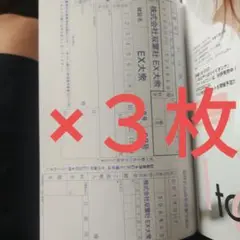 えなこ　限定クオカード応募者全員用紙３枚　EX大衆