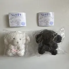 じょせまる　ぬいぐるみ(おぱんつ・黒)　①