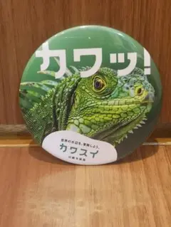川崎水族館　缶バッジ