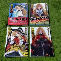 アニメイト特典 非売品カバー付 織田信奈の野望 3~4巻セット