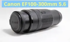 Item thumbnail for item b3e8794b-7fc7-4d93-ad6d-bc65c0bf1609