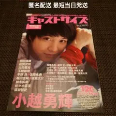 キャストサイズ Vol.14(2015Nov) 未読
