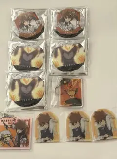 沢田綱吉 家庭教師ヒットマンREBORN! まとめ売り