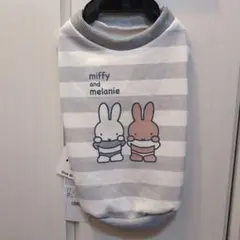 Item thumbnail for item 81569df9-ec43-4e99-938c-8aef027007f6