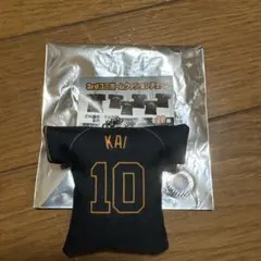 甲斐拓也 ユニフォームクッションチェーン