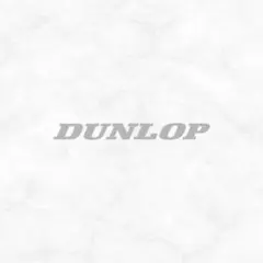 Item thumbnail for item 6fe6e82b-bc2a-4963-b74e-5c63b6b74c9a