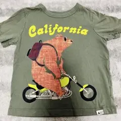 GAP アニマル柄　Tシャツ　子供服 105