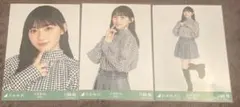 川﨑桜　千鳥格子　コンプ