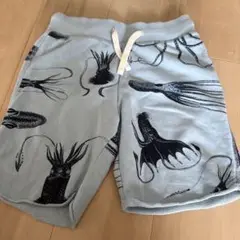 H&M キッズ　ハーフパンツ　コウモリダコ　魚　116cm 半ズボン