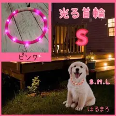 光る首輪 ピンク Sサイズ わんちゃん 夜 お散歩 安心 安全 USB充電