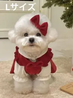 ペット服 クリスマス サンタコス コスプレ コスチューム 3点セット 犬用品