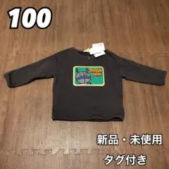 アンパンマン だだんだん 長袖 トレーナー 裏起毛 ダークグレー 100