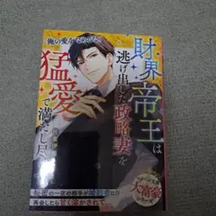財界帝王は逃げ出した政略妻を猛愛で満たし尽くす