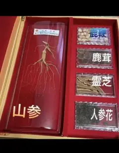 【商品名】:山参 中国 山参 鹿鞭.鹿茸. 霊芝.人参花セット